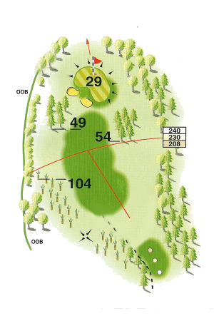 Hole 13 Map