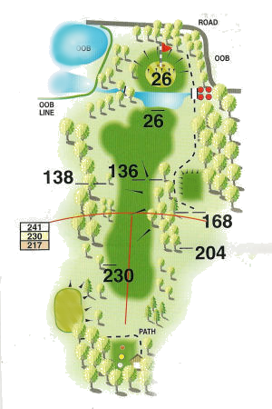 Hole 16 Map