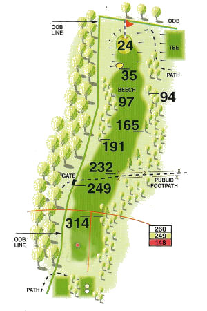 Hole 4 Map