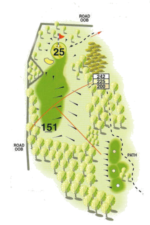 Hole 8 Map